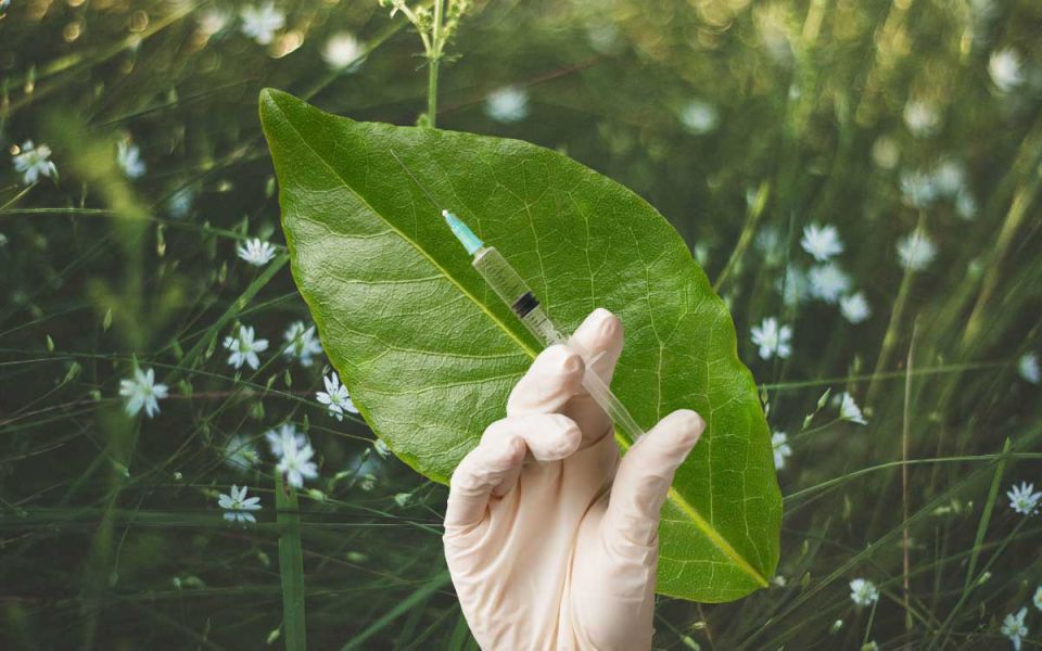 Vaccines Mimicking Nature