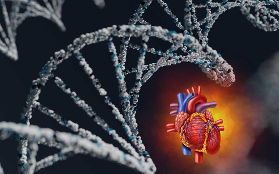 Diet and Exercise May Not Be Able to Help With This Inherited Cardiovascular Risk Factor