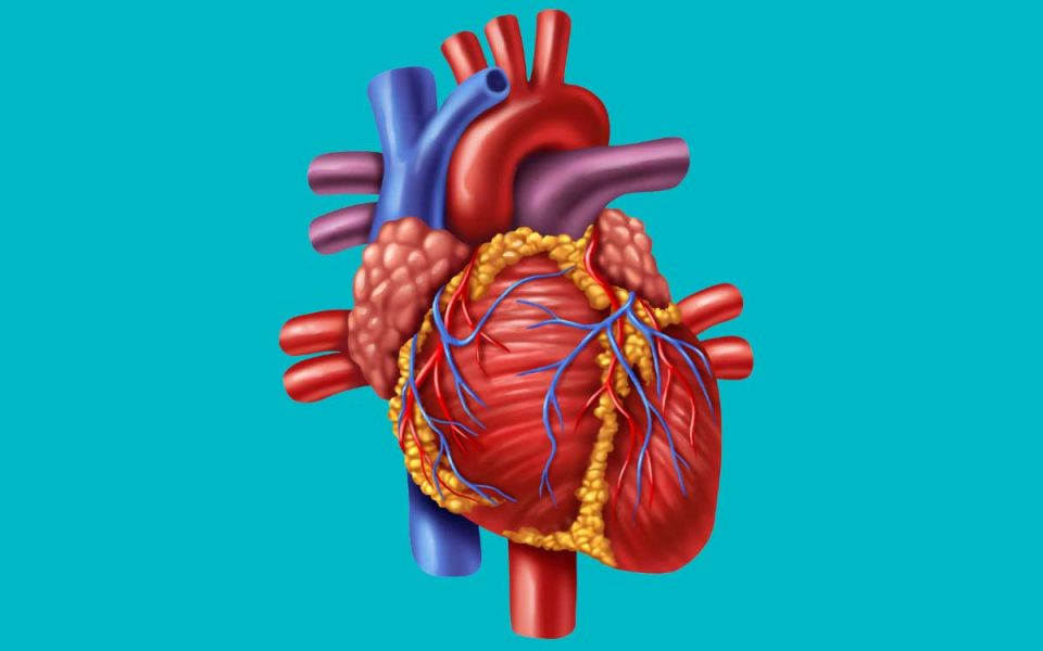 5 Things to Know about Lp(a)