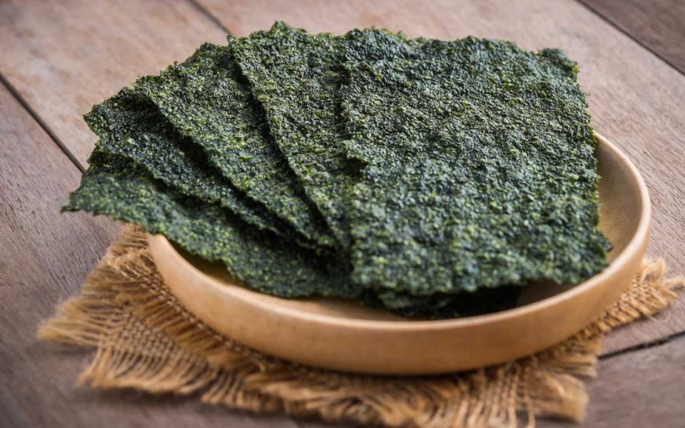 How Seaweed is being used in Clinical Trials as a Therapy for Alzheimer's