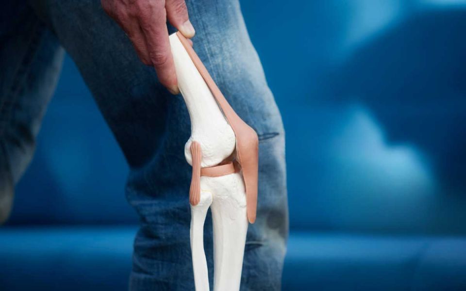 Breaking Down Osteoarthritis