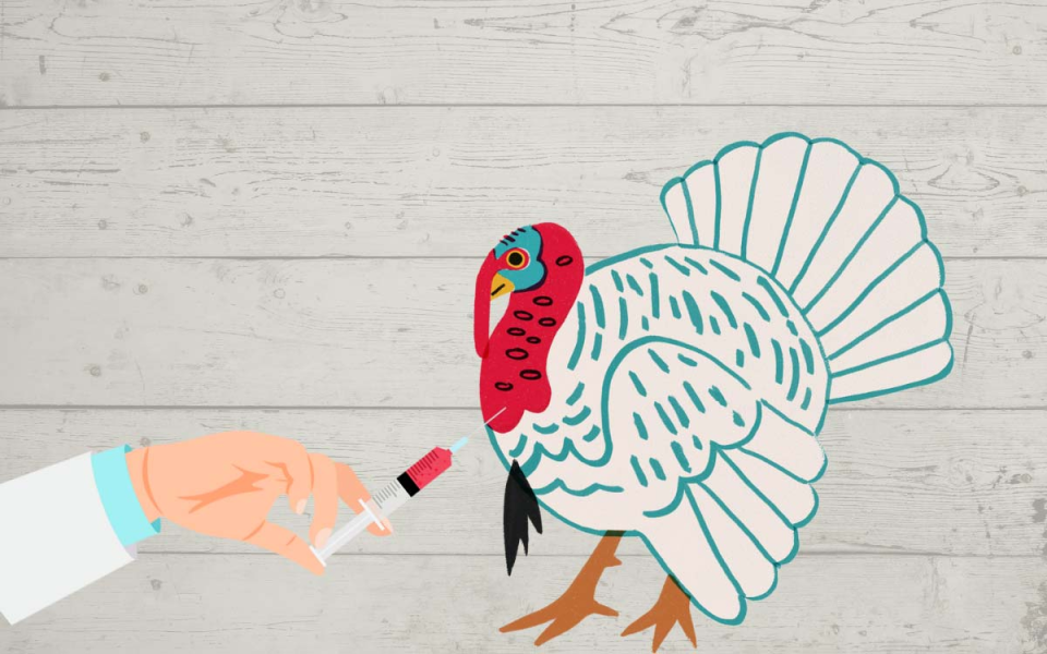 Three Thanksgiving Health Tips