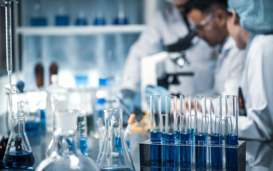Seed Oils and the Need for Research