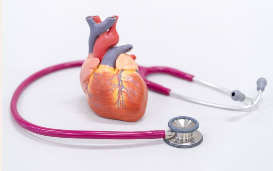Exploring Cardiac Health: Acute Coronary Syndrome, Gender Differences, and Cholesterol Management
