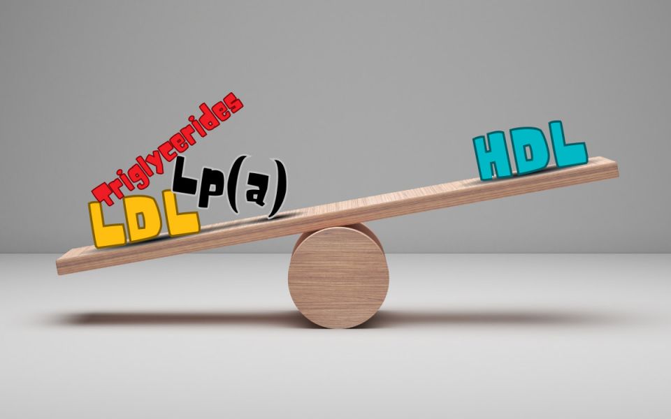 The Fat Truth About Dyslipidemia