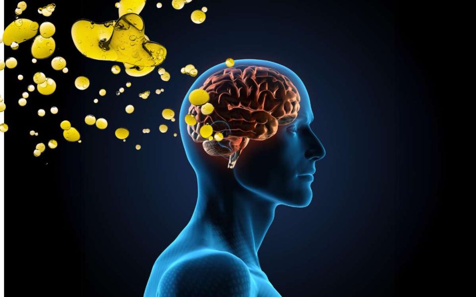 The Lipid Invasion Model - A New Alzheimer’s Theory