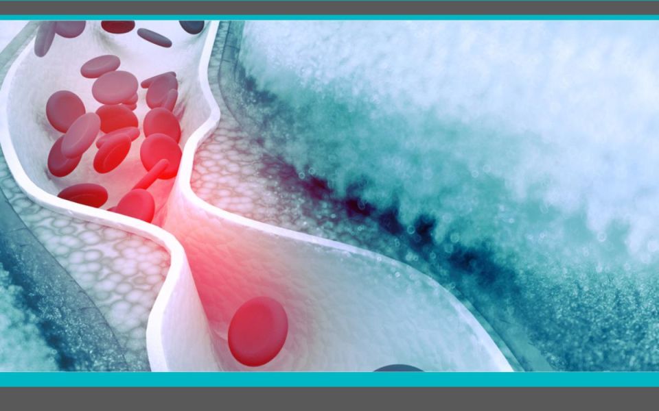 Cracking the Lipid Code