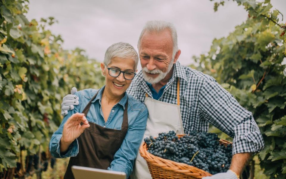 Gut Health: 10 Things You Should Know to Survive Your 60s