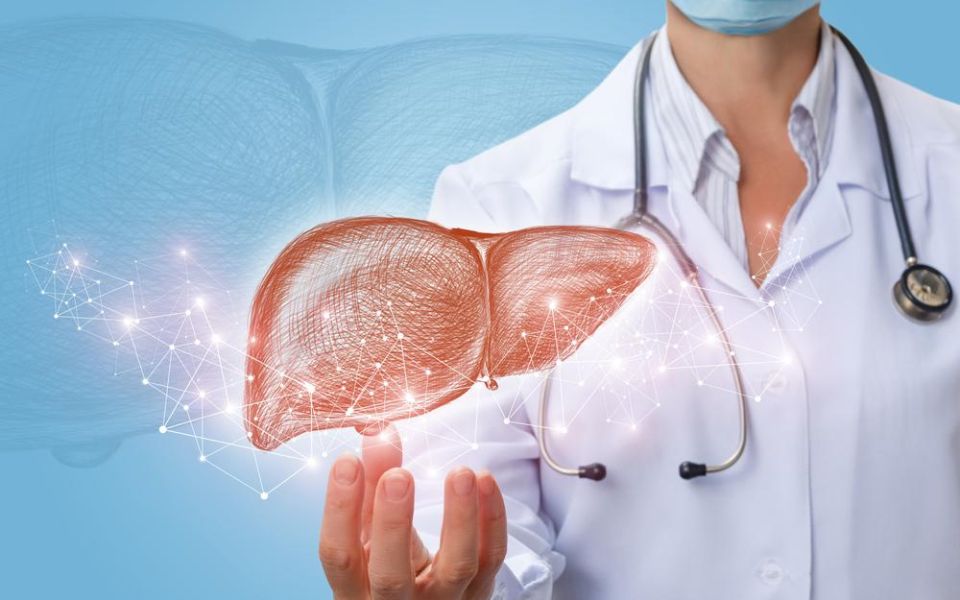 Understanding Fatty Liver Disease