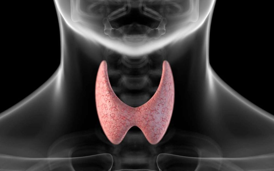 Getting Hyper-Fixated on Hypothyroidism