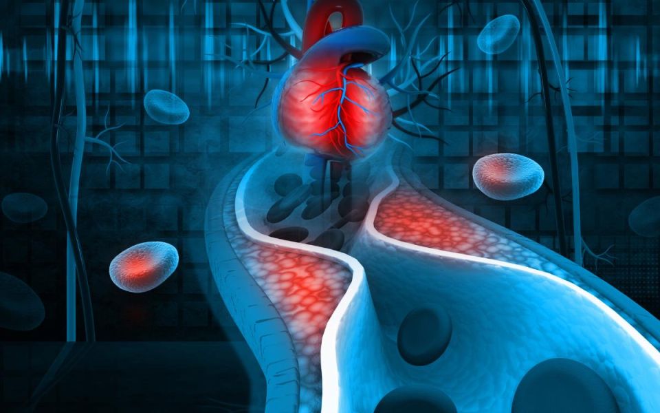 Breaking Barriers in Cholesterol Health with ANGPTL3