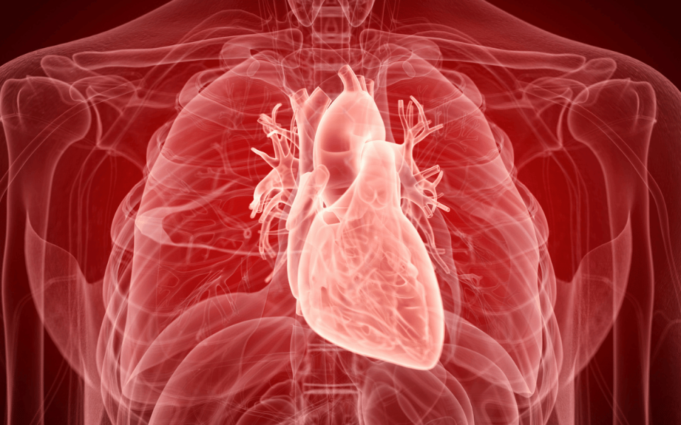 Beyond Cholesterol: Inflammation and Heart Health