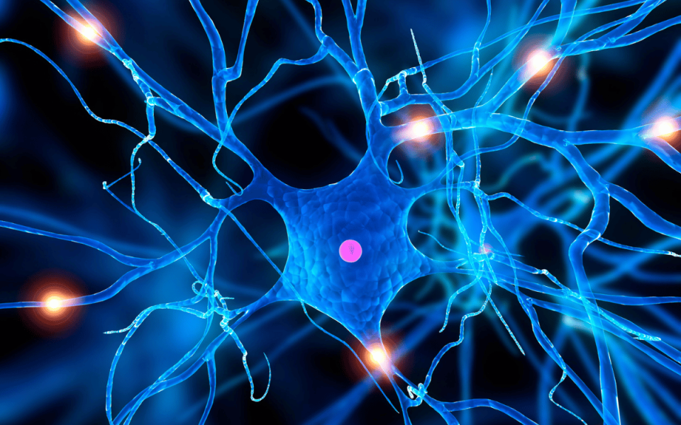 A New Era in Pain Relief Medication