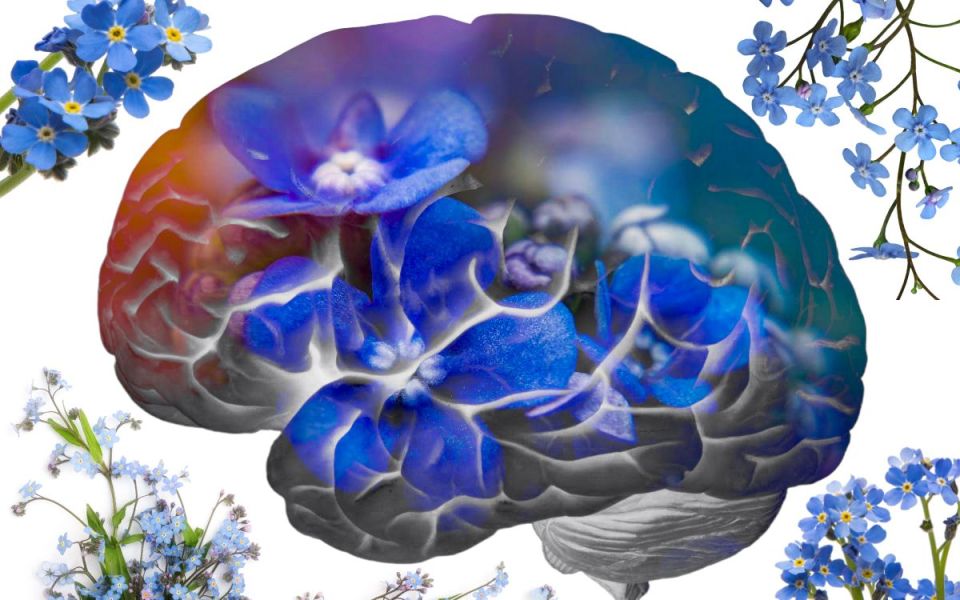 A New Type of Memory Loss in Older Adults