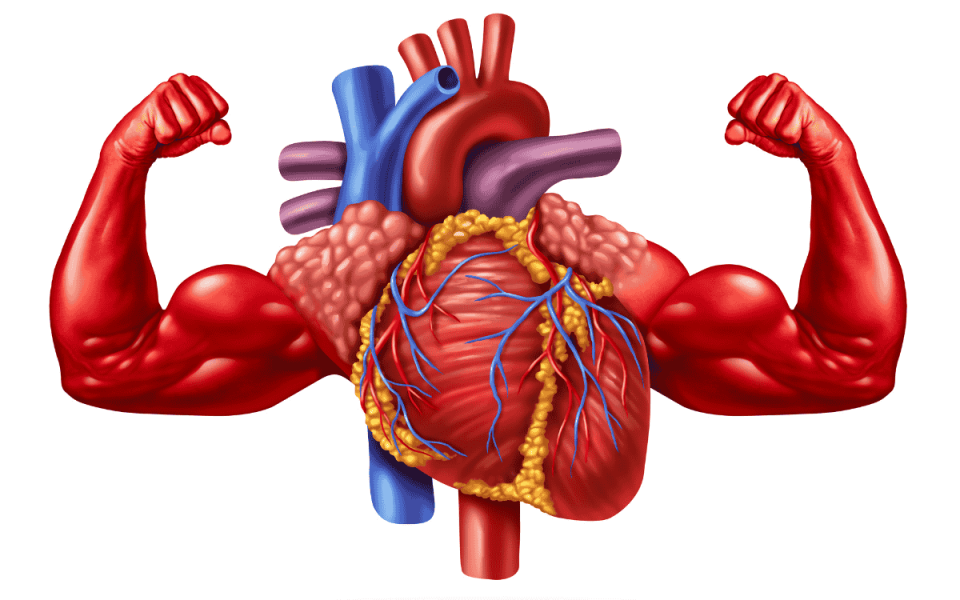 Cholesterol Breakthroughs From the AHA Meeting in New Orleans