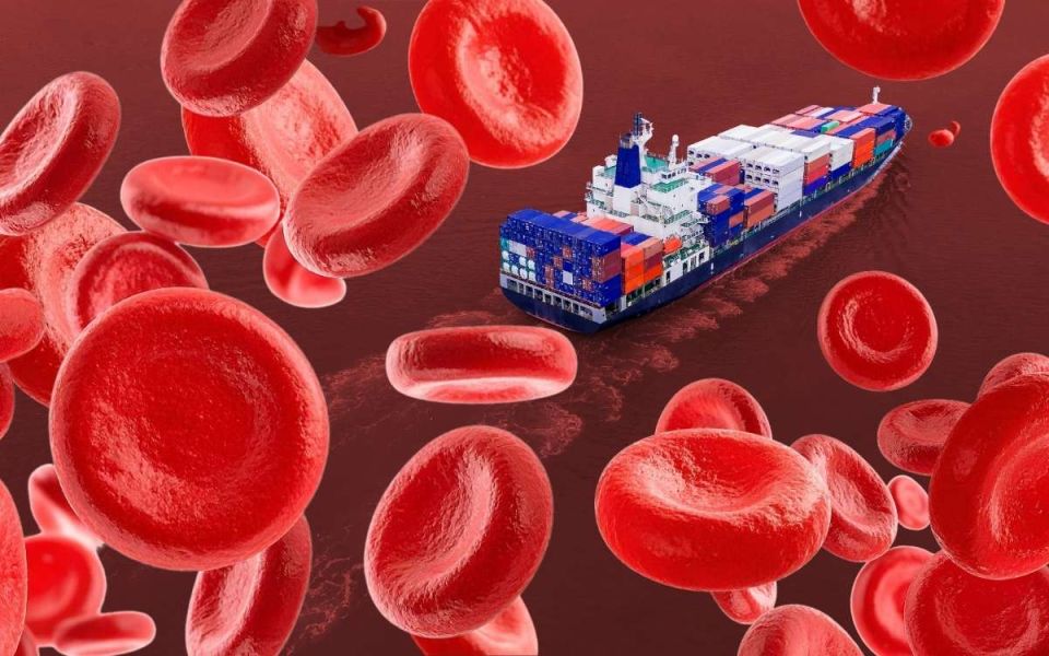 Anemia Disrupts the Body’s Oxygen Supply Chain