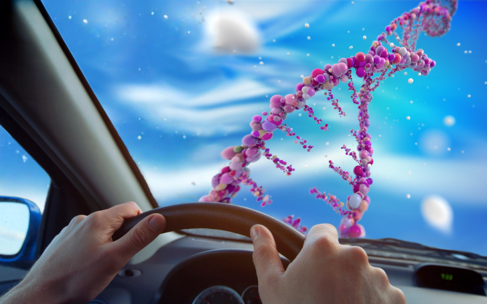 Gene Editing and Cholesterol: The Road Less Traveled