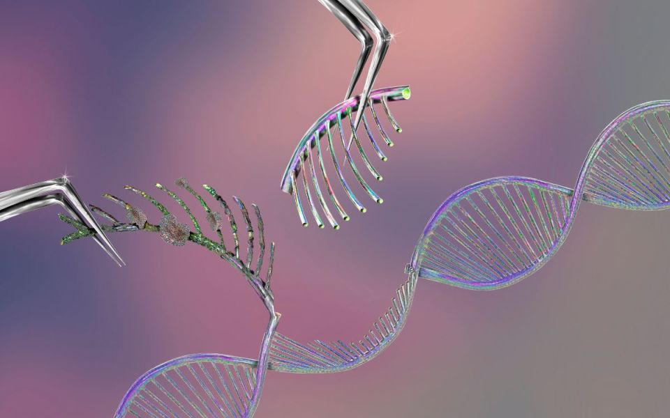 Gene Editing Study For Familial High Cholesterol