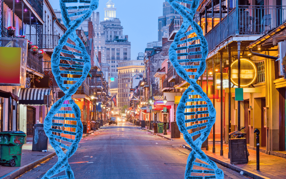 American College of Cardiology (ACC) Meeting Updates 2026