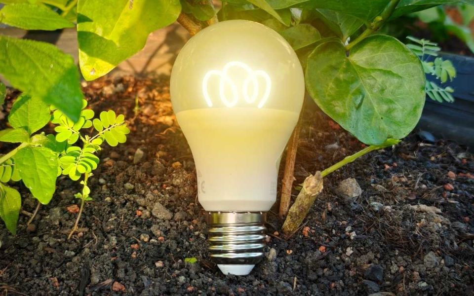 Innovation In Medicine