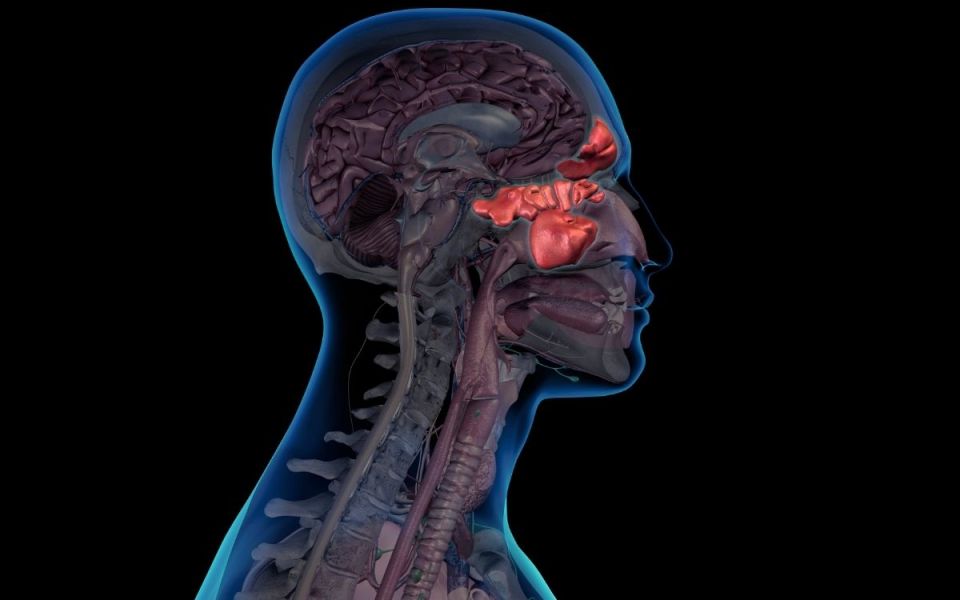 Nasal Polyps, Sleep, and Modern Sinus Care