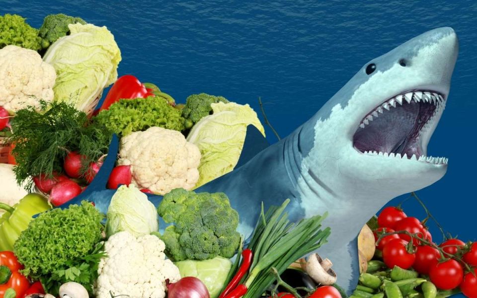 Diving Into The Psychology of Picky Eating May Reveal ARFID