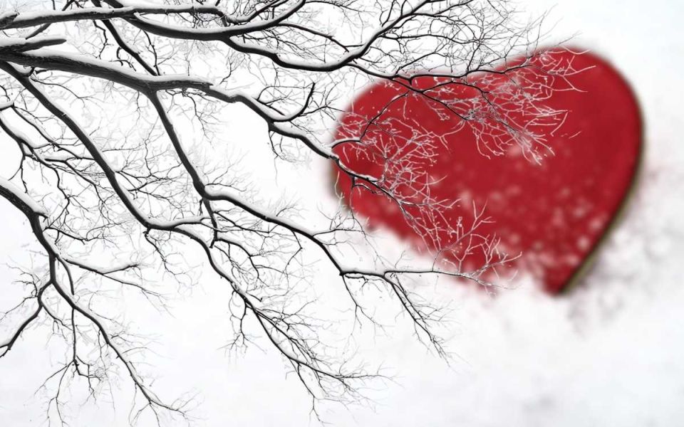 The Hidden Killer: Lp(a)
