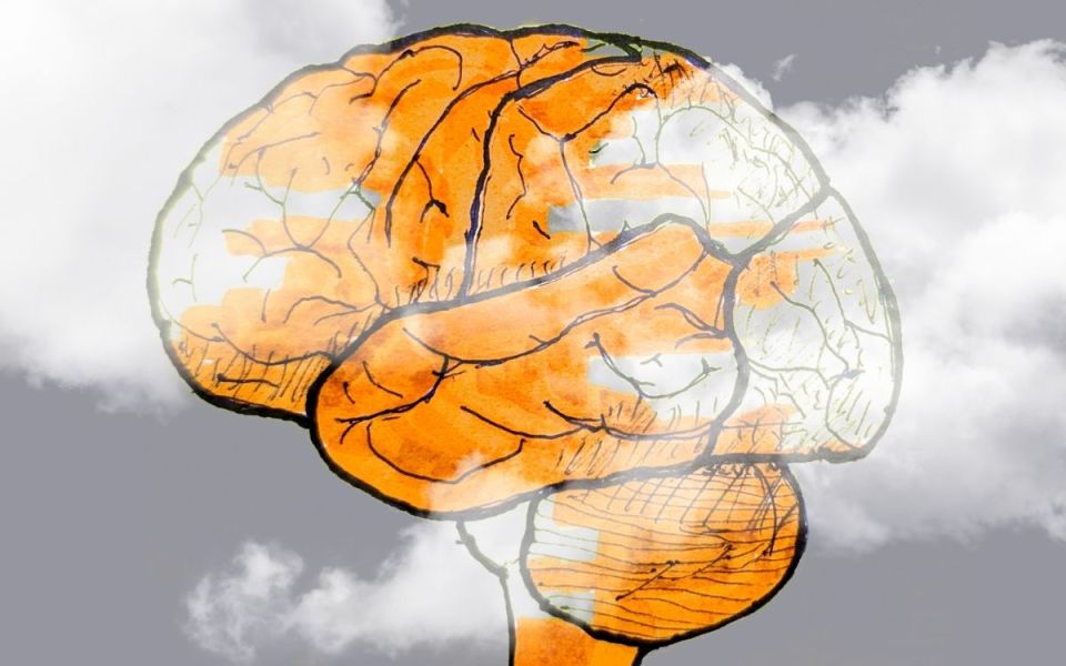 Clearing the Air Around Brain Fog